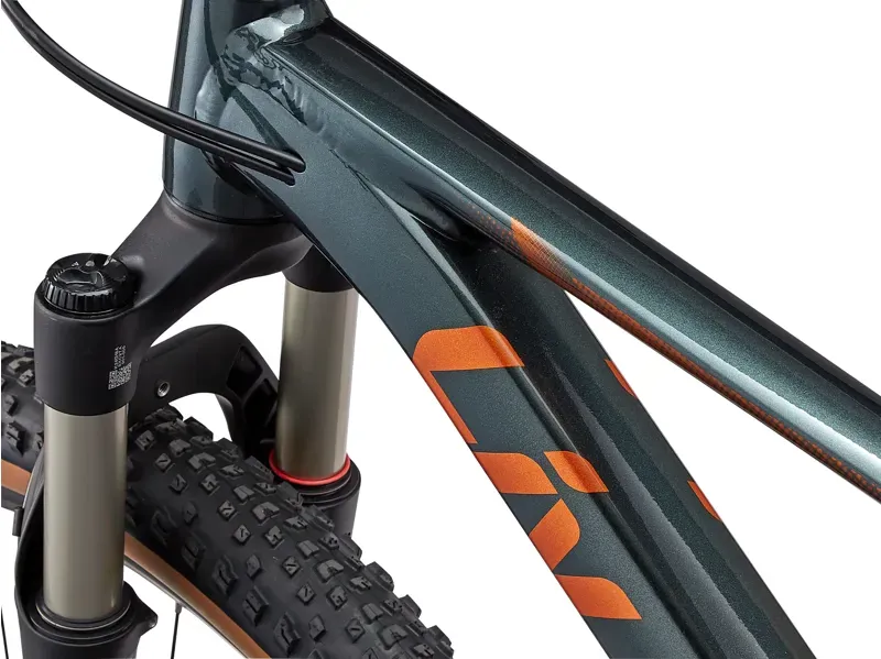 Liv Tempt 0 Mountain Bike in Stardust Grey-10