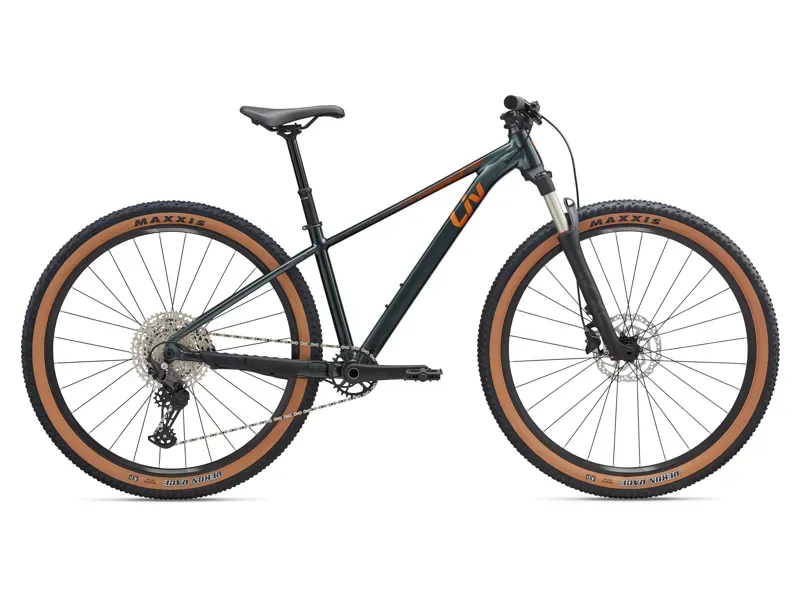 Liv Tempt 0 Mountain Bike in Stardust Grey