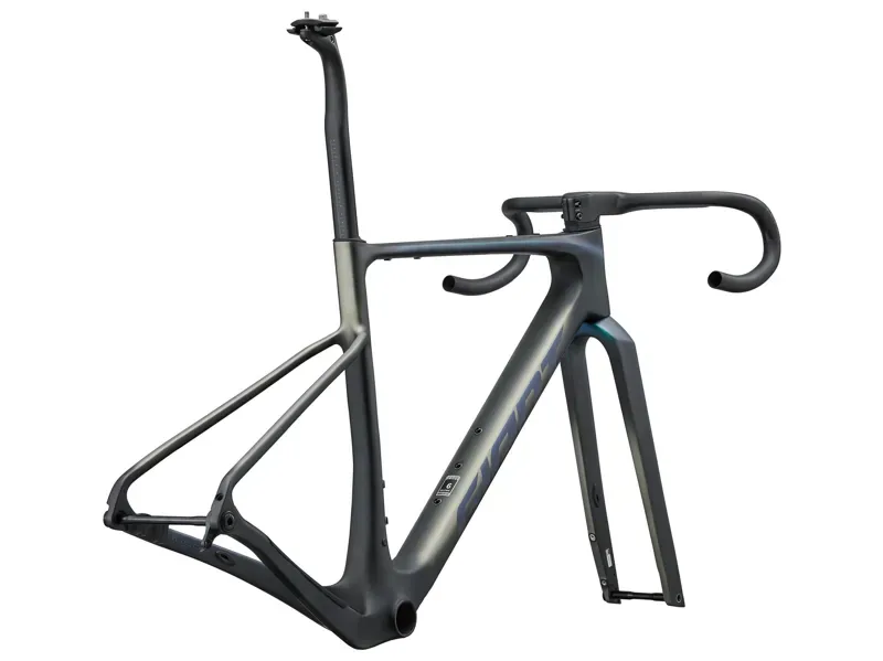 Giant Revolt Advanced SL-FF Gravel Bike Frameset in Superspeed Teal-2