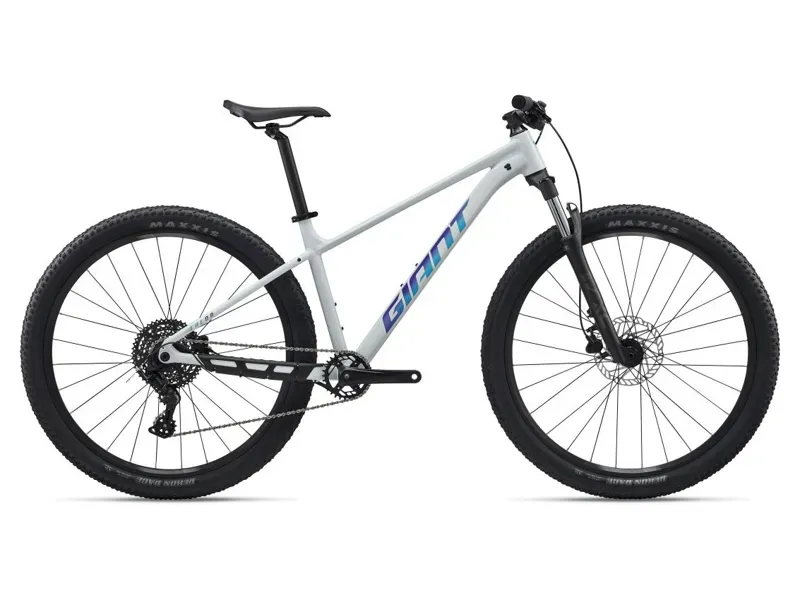 Giant Talon 29 2 MTB in Icicle White