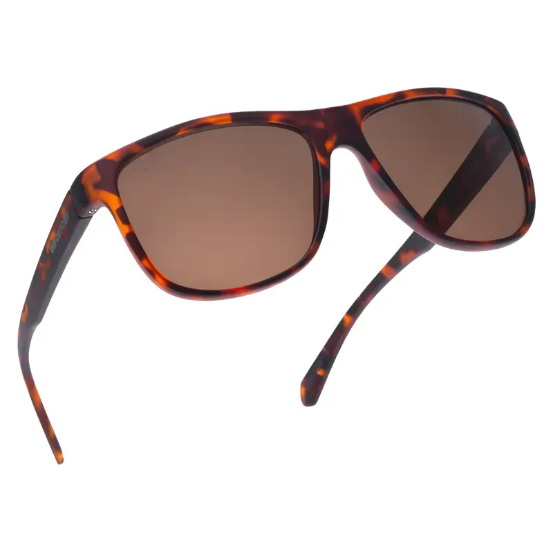 Oxford Sunglasses in Sahara Turtleshell/Brown Lens-1